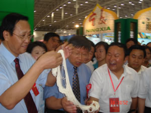 國家扶貧辦主任范曉劍、農(nóng)業(yè)部王副部長參觀學(xué)員實習(xí)作品.jpg