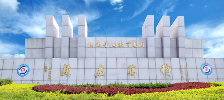 陜西華山教育集團(tuán)